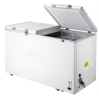Congélateur coffre commercial à 2 portes, neuf, 220V, éclairage LED, pour usage domestique et restaurant, avec panier