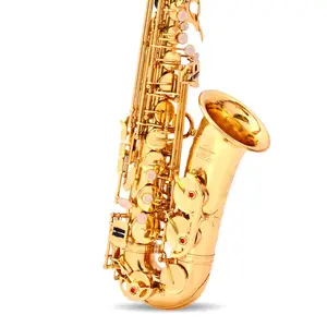 Wholesale Cheap Professional Tenor Sax Soprano Sachs Chinese With Accessories Brass Alto Saxophone