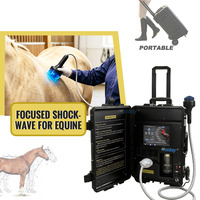 Sistema Portátil Avanzado de Terapia de Ondas de Choque para Veterinaria, Dispositivo en Caja para la Recuperación Equina y Prácticas Veterinarias