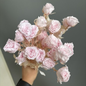Lot en gros de 20 tiges/têtes de roses <span class=keywords><strong>éternelle</strong></span>s préservées par pulvérisation – Plus de 10 couleurs assorties, fleurs réalistes pour DIY, fleuristes et mariages - Product Image 5