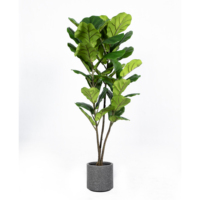 Fausse Plante Artificielle, Feuille de Fidle, Ficus, Lyrata, pour Balcon, Bureau, Salon, Décoration, 90cm, 120cm, 150cm, 180cm