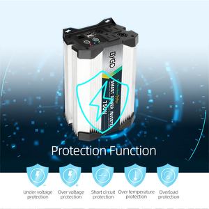 Nieuwe 750W Hoog Vermogen 12 Volt Naar 110V 220 Volt Pure Sinus Omvormer Outdoor Power Lifepo4 Accu Omvormer Voor Kamperen Thuis - Product Image 4