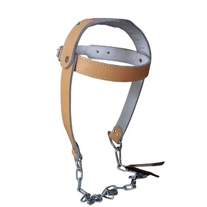 Harnais de tête pour musculation, harnais de cou, sangles en nylon pour exercices du cou, entraînement de force physique - Product Image 1