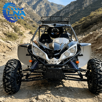 Buggy 4x4 LNA 2 places avec blocage de différentiel 500cc, emballage personnalisé pour la conduite tout-terrain