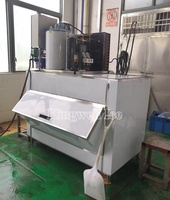 Máquina de Hielo en Escamas Trituradas con Depósito de 1, 2 y 3 Toneladas, Fabricantes Chinos
