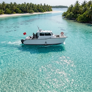 Bateau de pêche en catamaran en aluminium certifié CE de 10 mètres, 12 sièges passagers, deux moteurs hors-bord pour la navigation en haute mer - Product Image 1