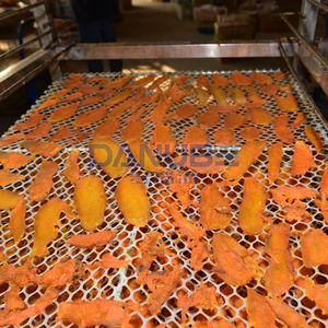 Équipement de découpe et de séchage de patates douces au prix fabricant – Machine de déshydratation pour tranches de patates douces - Product Image 3