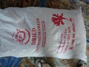 {Hot-sale}-สาหร่าย Eucheuma cottonii/สาหร่ายสปินโนซัมแห้ง/ส่งออกสินค้าเวียดนามคุณภาพสูงราคาดีที่สุด - Product Image 5