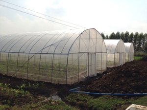 <span class=keywords><strong>Kit</strong></span> de serre de structure de cadre de film à une travée de plantation de fleurs à grande échelle à faible coût produit par les fabricants de serres - Product Image 3