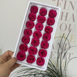 Ebedi korunmuş gül çiçek 21 adet toptan kalıcı bir sınıf eternity güller 2 - 3 cm sonsuz gerçek dokunmatik korunmuş gül - Product Image 5