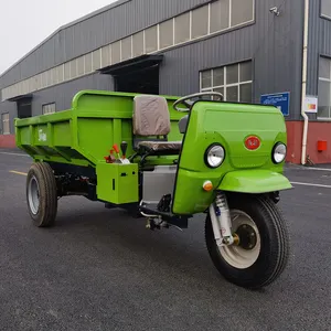 Sepeda motor roda tiga, penumpang dan kargo gaya baru sepeda motor bahan bakar Diesel, tiga roda sepeda motor bermotor becak