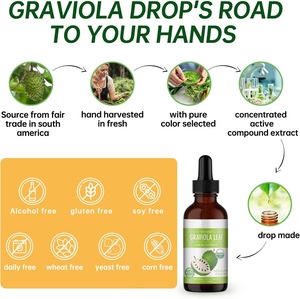 OEM su misura spina frutta Soursop gocce di foglie multivitaminici integratori liquidi orali per adulti esportazione transfrontaliera - Product Image 2