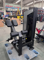 Machine de musculation multifonctionnelle pour salle de sport, équipement de fitness avec câble réglable, machine d'extension dorsale allongée pour la gym