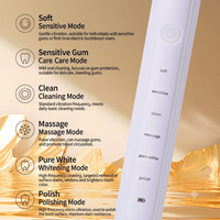 Brosse à dents électrique sonique automatique en promotion, soin buccal personnalisé, étanche IPX7, poils souples, portable, autonomie de 30 jours