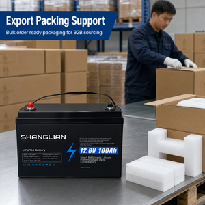 Batería de Fosfato de Hierro y Litio de Ciclo Profundo de 12.8V 100Ah LiFePO4 con 4000 Ciclos de Vida Útil para UPS y Motor Eléctrico de Arrastre - Product Image 6