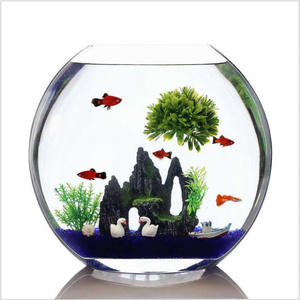 Acuario Transparente Blanco de <span class=keywords><strong>Boca</strong></span> Ancha - Mini Pecera de Vidrio Súper Pequeña - Pecera de Vidrio Creativa <span class=keywords><strong>El</strong></span>íptica para Mesa - Product Image 5