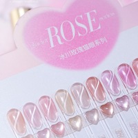 Vente en gros de 12 teintes de vernis à ongles en gel UV rose glacier transparent effet œil de chat, kit de gel magnétique scintillant pour salon de beauté