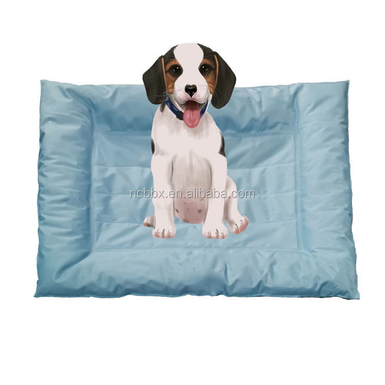 สีฟ้าอ่อน