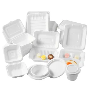 2020 Sinh Thái Thực Phẩm Dùng Một Lần Bao Bì 8 Inch Vỏ Sò Takeaway Mía Phân Hủy Sinh Học 3 Ngăn Ăn Trưa Hộp Giấy Cho Khách Sạn