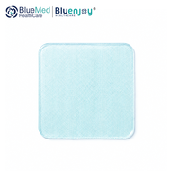 Pansements hydrogel BLUENJOY pour plaies, escarres et brûlures – Gel de soin avancé pour la gestion des plaies