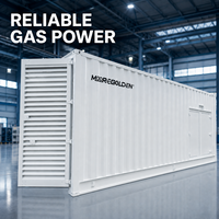 Nouvelle Offre 2026 : Groupe Électrogène Biogaz Conteneurisé 800kW 1000kVA pour Projets de Valorisation Énergétique des Déchets