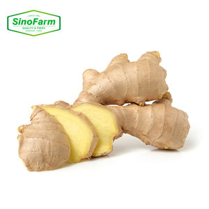 Pemasok Grosir Jahe dan Bawang Putih Produsen Jahe Segar Menjual Grosir dalam Jumlah Besar Tanpa Izin - Product Image 2