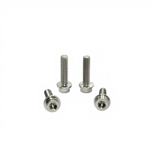 ज़िरकोनियम जिरकोनियम मिश्र धातु 4 बांसुरी स्पलाइन/रिबे संक्षारण-प्रतिरोधी वेंटिंग/निकास स्क्रू खोखले बोल्ट/बनोजो रासायनिक चिकित्सा - Product Image 1