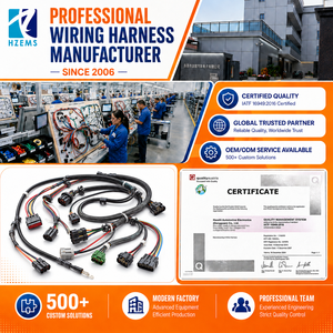 HZEMS Özel Elektrikli Motosiklet Kablo Demeti Montajı Komple Araç Kablo Sistemi Dongguan Üretim Fabrikası - Product Image 1