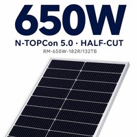Panneau solaire bifacial TOPCon de type N 650W, cellules 182R, montage au sol pour l'agriculture, projet d'énergie agrivoltaïque
