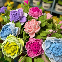 Fil de haute qualité Monique Darve Rose Pot plante artisanat Crochet romantique mariage décoration cadeau coloré fleur artificielle