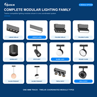 Système d'éclairage LED magnétique ultra-mince DC48V, spots linéaires magnétiques à LED, lampes à rail magnétique en aluminium à 2 fils