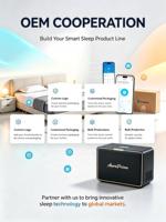 Coussin de lit intelligent pour le refroidissement et le chauffage, matelas chauffant et rafraîchissant imperméable avec contrôle de la température pour hôtels et maisons, OEM disponible