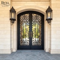Porte d'entrée en fer forgé cintrée avec verre trempé, revêtement poudré, antirouille, design décoratif pour maison de luxe
