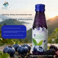 Boisson Énergisante Naturelle Café Myrtille Mûre Bouleau 100 mL en Bouteille OEM Marque Privée