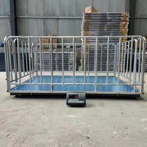 डिजिटल डिस्प्ले के साथ इलेक्ट्रॉनिक प्लेटफॉर्म वजन-पैलेट ट्रक - Product Image 5