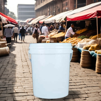 Tambour en plastique d'étanchéité portable pour eau sel explosif 1L/1.5L/2L/2.5L/5L/8L/10L seau de peinture au latex tambours seaux et barils"