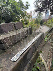 Púas Antipájaros con Base de Acero Inoxidable, Púas Duraderas para Pájaros, Púas para Palomas, Kit de Cercas para Proteger de Aves Pequeñas - Product Image 2