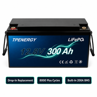 Batería de Ciclo Profundo de Fosfato de Hierro y Litio TPENERGY 12.8V 300Ah, Celdas de Grado A, 8000 Ciclos, Almacenamiento de Energía para el Hogar