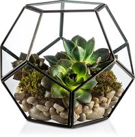 Vente en gros Terrarium en verre cylindrique Respectueux de l'environnement Miniature Fairy Garden Container Air Plant Holder pour la maison Décoration de table Cadeau