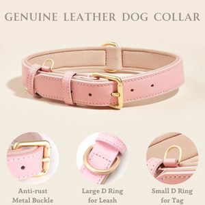 Collier pour chien en cuir véritable classique robuste, collier pour chien en cuir rembourré de couleur unie, colliers pour chien rembourrés 100% cuir - Product Image 2