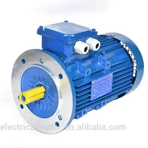 Động Cơ Cảm Ứng Điện Xoay Chiều Ba Pha Không Đồng Bộ Vỏ Sắt HMA3 Giá 30kw