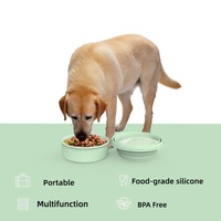 Bol pour animaux de compagnie pliable en silicone personnalisé, 2 en 1, étanche, anti-fuite, portable pour les voyages, facile à nettoyer