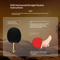 DHS F-Serie F9000 Tischtennisschläger aus Kohlefaser Einzelblatt Doppelseitig Reverse-Adhesive 9-Sterne Profi-Qualität