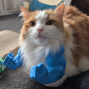 Giocattolo da Collo per Animali Domestici a Forma di Braccio Muscoloso Stile Hulk Stampato in 3D, per Cani di Piccola Taglia, Gioco Interattivo, Accessorio da Appendere, Costume, Ornamento per Gatti e Animali Domestici - Product Image 6