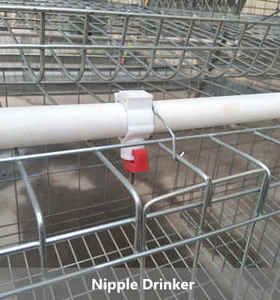 Cage à poules de type 4 à 4 étages pour 128 poules, pour poulailler, ferme avicole - Product Image 4