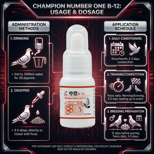 Suplemento en Polvo de Vitamina B-12 Profesional Champion Número UNO, 20 ml, Mejora la Velocidad de Vuelo, Resistencia y Potencia, Salud para <span class=keywords><strong>Palomas</strong></span> de Competición - Product Image 1