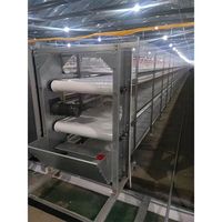 Cages à poulets galvanisées multicouches de haute qualité avec moteur conçu pour l'élevage de poulets, alimentation automatique, longue durée de vie