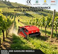 Tondeuse à gazon sur chenilles certifiée CE EPA EURO Five MSDS, qualité export, modèles complets à essence et diesel