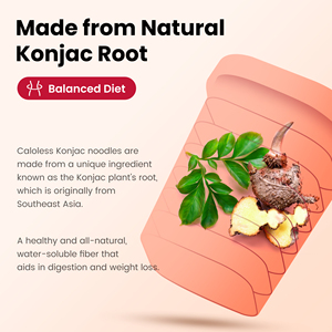 Nouilles Shirataki Faible en Glucides, Sans Gluten, Pâtes Keto, Repas Instantané Prêt à Manger, Aliment Diététique, Vente en Gros - Product Image 5