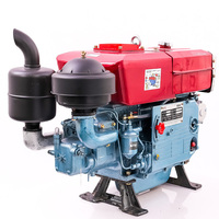 Moteur diesel monocylindre refroidi par eau Tengka S195 S1110 S1115 pour pompe d'irrigation et petit tracteur